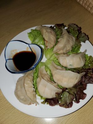 Vegan gyoza at Tierra in Hakuba