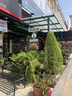   at Reach Plant Based Kitchen in Phuket