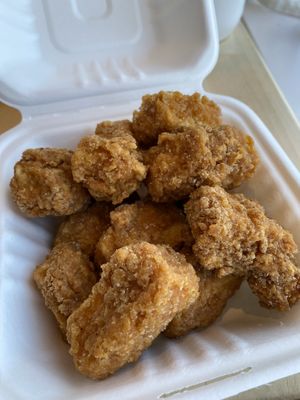 X Nuggets  at Plant City X in Middletown