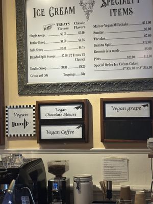 Vegan flavors  at Treats in Nevada City