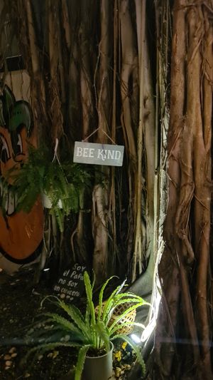  at EatWise in Santo Domingo