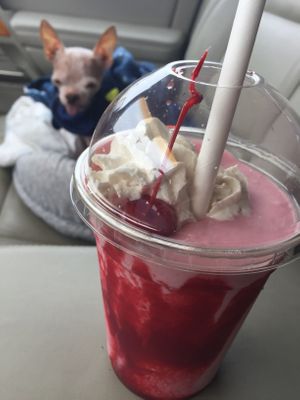 Raspberry Shake at Fatty Vegan in Ventura