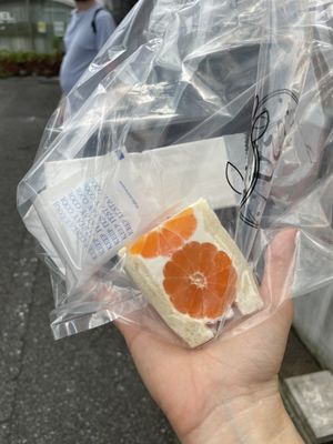 Small orange sandwich; included cold pack for takeout  at fruits and season in Tokyo