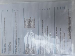 Vegan burger for breakfast at Lure in Port Douglas