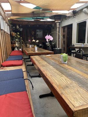 Cute Inner Outdoor Patio w/Live Plants 🪴   at Sky Cafe in South San Francisco