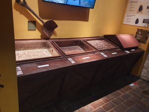 On the guided tour  at Kahkow Experience in Santo Domingo