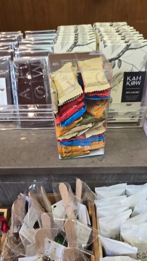 Minis at Kahkow Experience in Santo Domingo