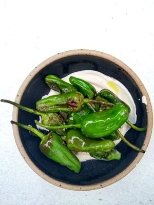 Padron peppers with garlic cashew cream at SITE x supernature in East London
