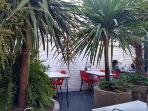 Garden seating 🌴 at SITE x supernature in East London