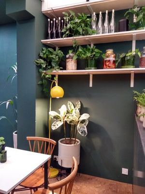 Interior at SITE x supernature in East London