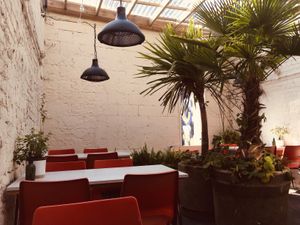 Terrasse  at SITE x supernature in East London