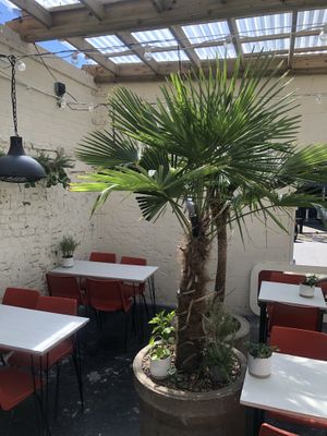 Pictured is the outdoor seating   at SITE x supernature in East London