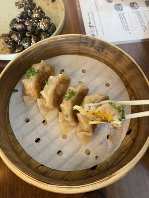 Miso Potstickers  at Minty Z in Coconut Grove
