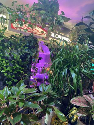   at Crystals Soul Cafe in Los Angeles