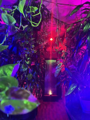 The ambiance 💜💗💚💙  at Crystals Soul Cafe in Los Angeles