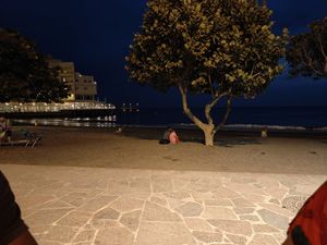  at Bliss Café in Tenerife