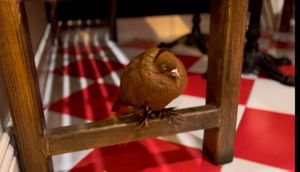 Super cute! The feathered feet brown pigeon (being shelter temporarily for the night, due to stray cats in the area) #Veganuary at Better Diner in Kuwait City