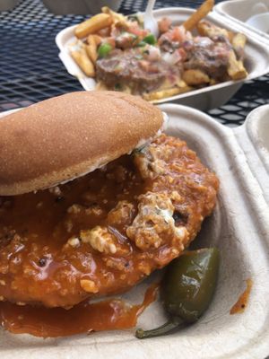 Spicy Project and Loaded Fries at Project Pollo in San Antonio