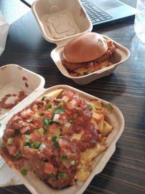 Spicy chicken and loaded fries at Project Pollo in San Antonio