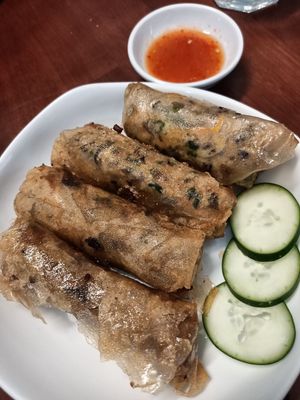 Spring Rolls at Happy Vegan in Da Nang