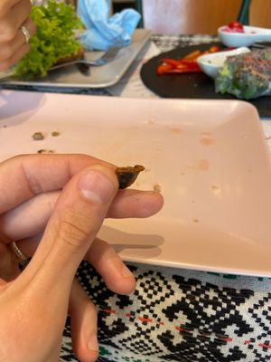 Walnut shell in food that broke my tooth    at Zdravo Ljubavi in Belgrade