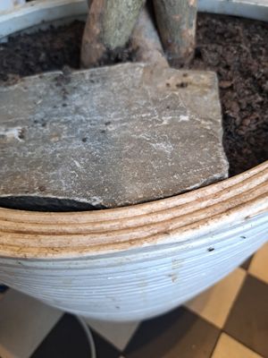  at Zdravo Ljubavi in Belgrade