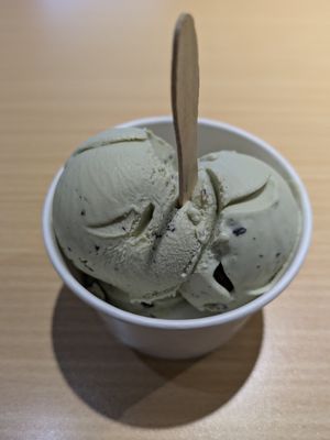 Mint Choc Chip Sugar Free at Chloe's Gelato in Kuala Lumpur