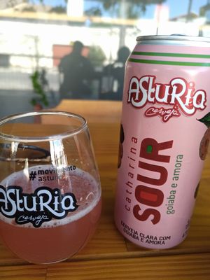 Vegan beer at Be Green Vegan in Goiania