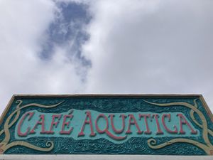   at Cafe Aquatica in Jenner