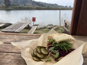   at Cafe Aquatica in Jenner