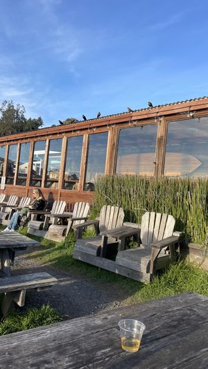   at Cafe Aquatica in Jenner