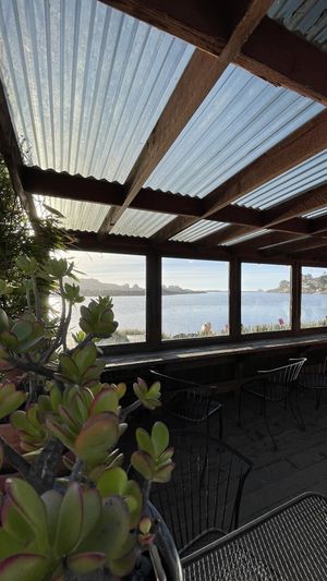   at Cafe Aquatica in Jenner