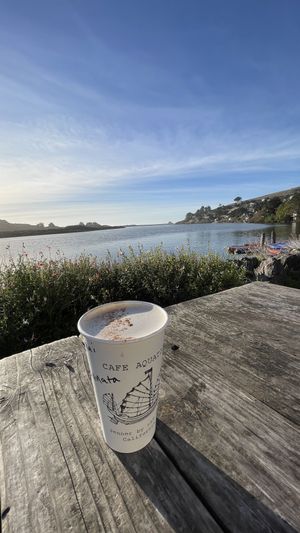   at Cafe Aquatica in Jenner