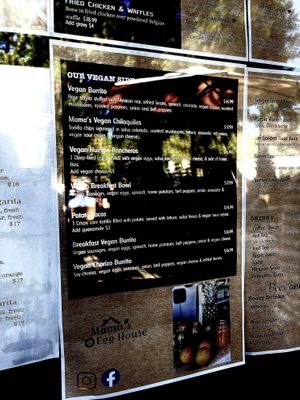Vegan menu  at Mama's Egg House in Idyllwild