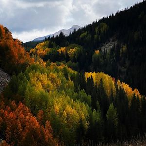 Beautiful views at Basecamp in Durango