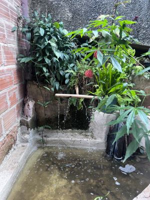   at Quintal Vegan in Belo Horizonte