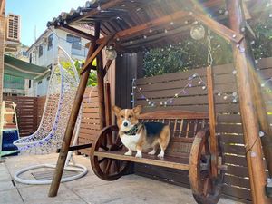 Pets Welcome at Green Element - 園素 in Outlying Islands