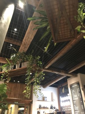 Live plants make a magical atmosphere   at Honest Greens - Born in Barcelona