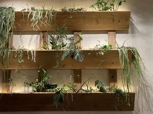   at Honest Greens - Born in Barcelona