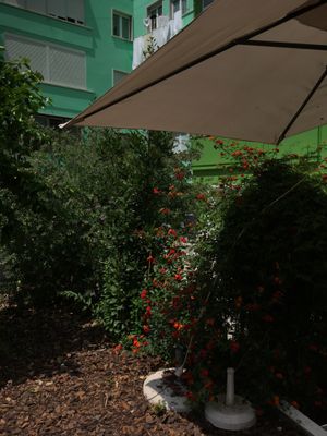 loveliest terrace  at Empório do Chá in Lisbon