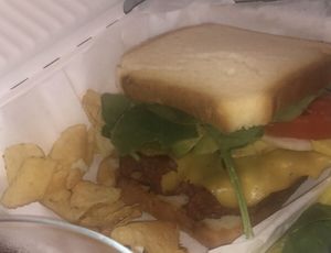 zegan at Zeganz in Charleston