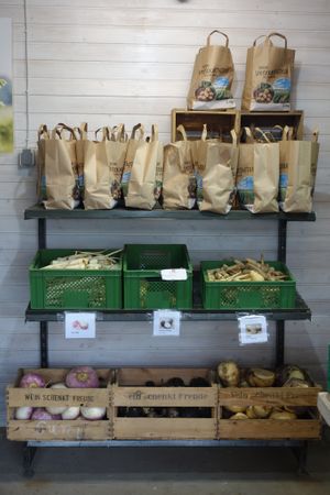 Local veganic fruit and vegetable in the centre at Möhre ohne Mist in Kandel