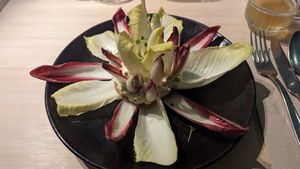 Chicorée mit Aprikosen und Blauschimmelcreme at VHY! in Stuttgart