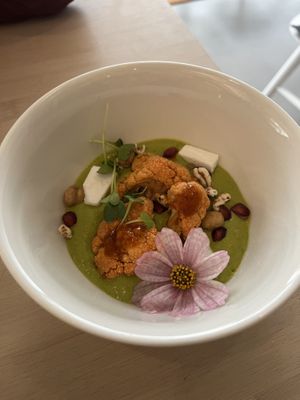   at VHY! in Stuttgart