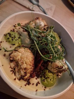 Polenta at VHY! in Stuttgart