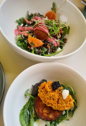 Starter 2 at VHY! in Stuttgart