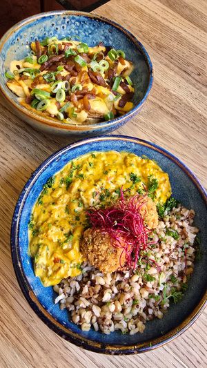 Shampi loo at Tabi Loo in Leuven