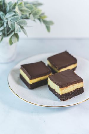 Raw Nanaimo Bar at Level V Bakery in Vancouver