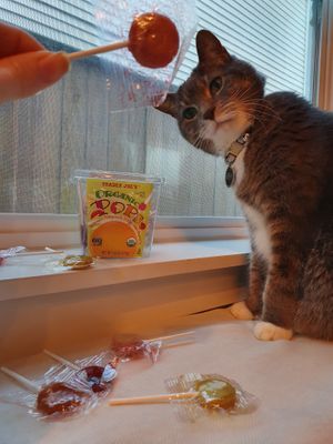 Pops at Trader Joe's - NW Glisan in Portland