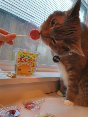 Pops  at Trader Joe's - NW Glisan in Portland